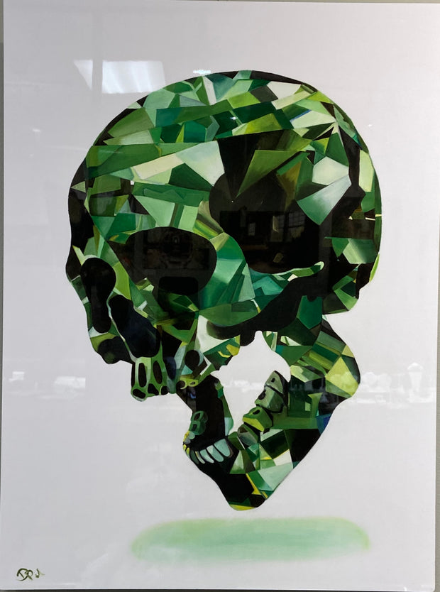 Denise Hopwood "Green Skull" Metal Print